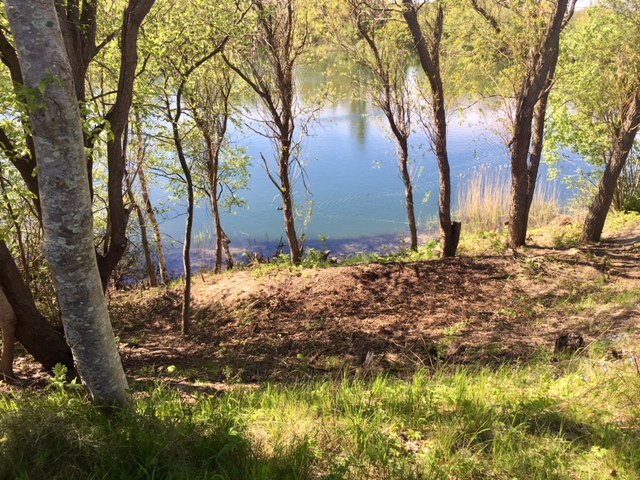 Dronningmølle sø - søen og skoven